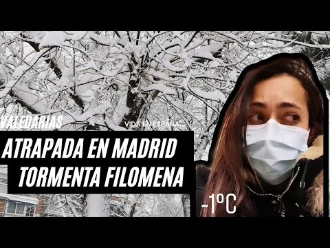 ❄️ATRAPADA EN MADRID EN PLENA NEVADA 😱- FILOMENA Y SUS ESTRAGOS!