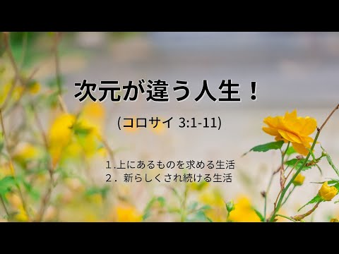 [イェウォン教会 日本語礼拝局] 2025.02.02 -日本語 全体礼拝  - 次元が違う人生！(コロサイ3:1-11)