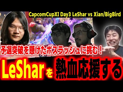 【CapcomCup11】最後のボスラッシュに挑む！予選最終日のLeSharを熱血応援するハイタニ【カプコンカップDay3 SF6 ストリートファイター6 スト6】