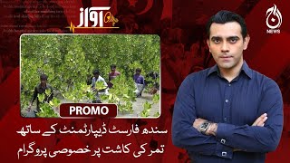 Special Program on Mangrove cultivation with Sindh forest department - Awaz - Promo - Aaj News