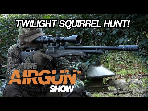 The Airgun Show | Hunting squirrels at dusk | Reximex Zone bullpup review