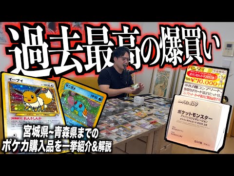 【過去最高】東北で大量爆買いしたポケカを旧裏のプロが徹底解説！！