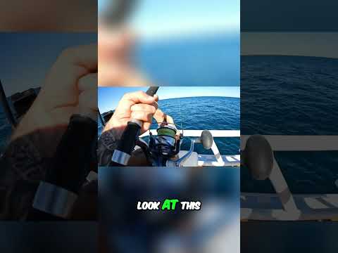 Fishing Frenzy: Epic Catch and Marine Surprises!