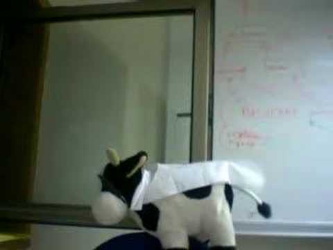 Super cow