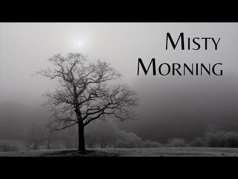 Misty Morning | Last Winter Days | # 31