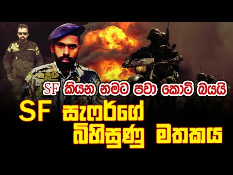 SF කියන නමට පවා කොටි බයයි...SF සැෆර්ගේ බිහිසුණු මතකය | Nalin Rajapaksha