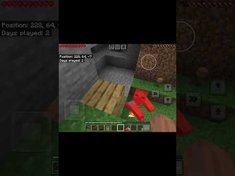 Playing Minecraft solo!