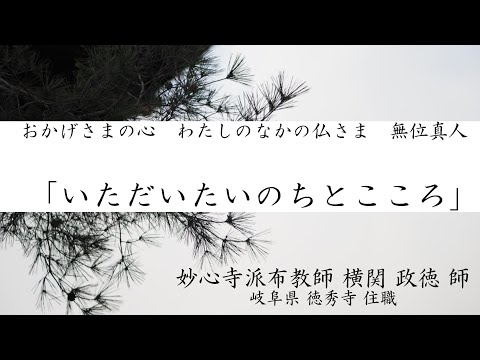 第26回　「いただいたいのちとこころ」　横関 政徳 師