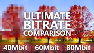 What's the Best Bitrate for the Best Video Quality on YouTube? (1080p, 1440p, 4K)