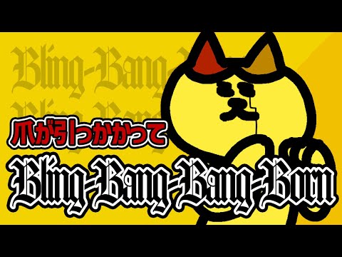 【アニメ】カーテンに爪で身動き取れない猫 | ナミミコ