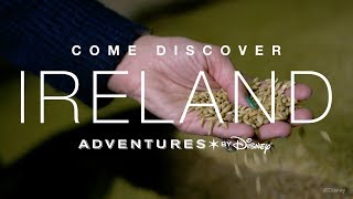 Discover Dublin | Adventures By Disney