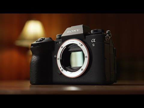 Sony A9 III - Is A Global Shutter Worth The Hype?