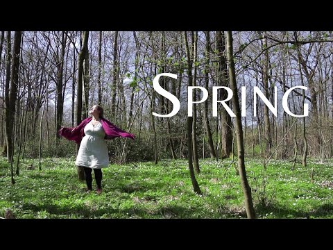 Spring Flowers | An Old Book | # 32