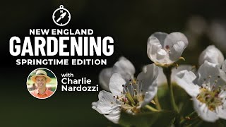 New England Gardening with Charlie Nardozzi Springtime Edition 2021 | Connecticut Public