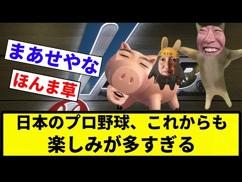 【楽しみだったな】日本のプロ野球、これからも楽しみが多すぎるwwwwwwwww【反応集】【プロ野球反応集】