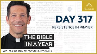 Day 317: Persistence in Prayer — The Bible in a Year (with Fr. Mike Schmitz)