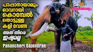 EP 37|പാപ്പാനായാലും കൊമ്പേൽ തൊട്ടുള്ള കളി വേണ്ട, അത് തീരെ ഇഷ്ടമല്ല| Panancheri Gajendran|Aanakkaryam