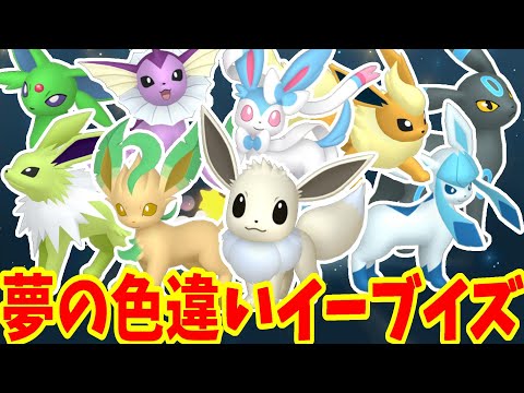 【ポケモンSV】ついに！夢の色違いイーブイズ完全入手！最終作戦決行！【ポケモンスカーレットバイオレット・ゼロの秘宝】