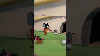 #tom #tomandjerry #uk #viral #funnyclips #tomandjerrycouple #disney #jerryfunny #tomfunny #usa