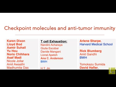 Checkpoint molecules, Tregs and induction of anti-tumor immunity