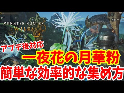 【モンハンワイルズ】アプデ後対応！「一夜花の月華粉」の効率的な集め方まとめ【MHWilds】