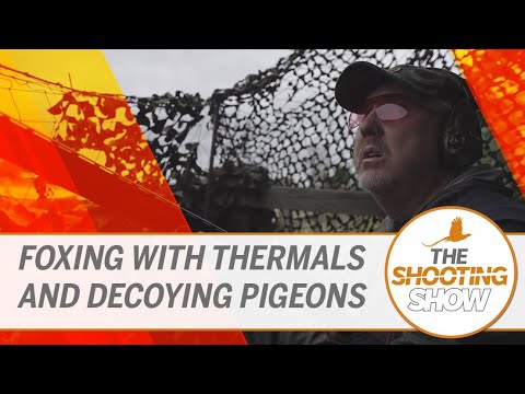 The Shooting Show - Foxing with thermals and decoying over stubbles