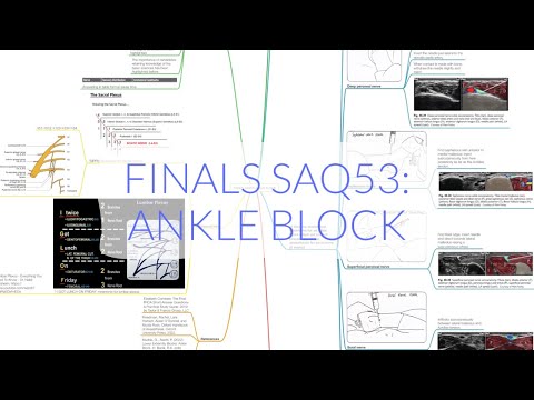 FINALS ANAES SAQ53: ANKLE BLOCK