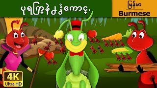 ပုရြက္နဲ႕ ႏွံေကာင္. | Ant and the Grasshopper in Myanmar | | @MyanmarFairyTales