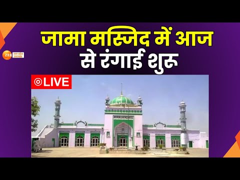 Sambhal Jama Masjid LIVE : जामा मस्जिद में रंगाई का काम शुरु | Jama Masjid | Zee UPUK |