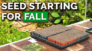 Start Seeds With Us: Late Summer & Fall Planting Ideas!