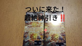 遊戯王クウォーターセンチュリーアートコレクション開封動画