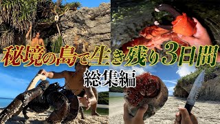 【総集編】無人島の3日間ガチサバイバル生活がヤバすぎた