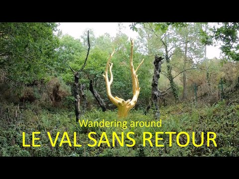 Wandering around Le Val sans Retour Brittany France. A 5-minute walking video of this magical forest