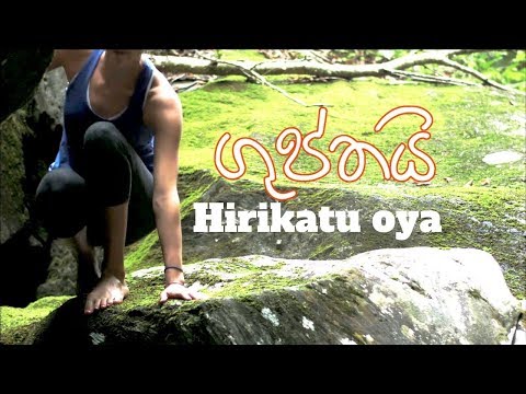 ගුප්තයි | Hirikatu Oya | නිධන් වදුලක්