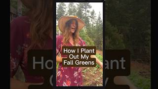 Planting fall greens. How much space between plants? #gardentips #growyourownfood #fallplanting