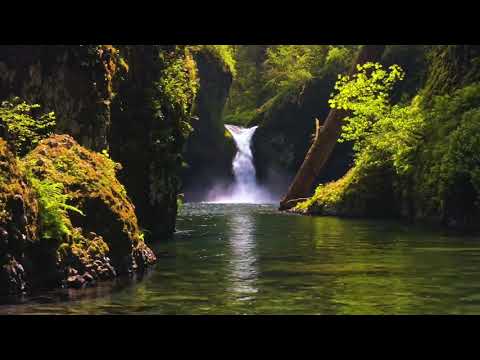 Peaceful Relaxing Instrumental Music, Calm Meditation Music "Celtic Forest" by Tim Janis