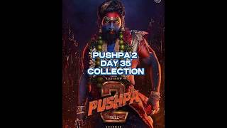 PUSHPA 2 DAY 35 COLLECTION #trendingshorts #viralshort #popular #pushpa2collection #pushpa2review