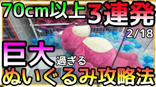 巨大化が止まらない!!ROUND1で１番デカいぬいぐるみ三連発!!巨大ぬいぐるみ攻略の秘訣!!