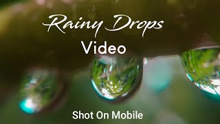 Rainy Drops Vertical  Video | Shot On Redmi4A & Apexel Macro Lens | SaiPrashanth Patel |