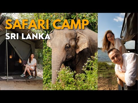 Arriving in Sri Lanka & Epic Safari Camp, Spotting Leopards  SRI LANKA SERIES