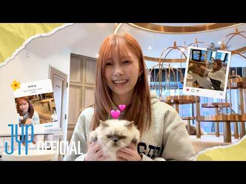 [NiziUnplug] 猫カフェ | お友達に癒されてきたよ〜🐈🐈‍⬛  | MAYUKA's VLOG