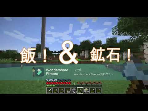 羊毛集め＆洞窟探検でてんやわんやのマイクラ