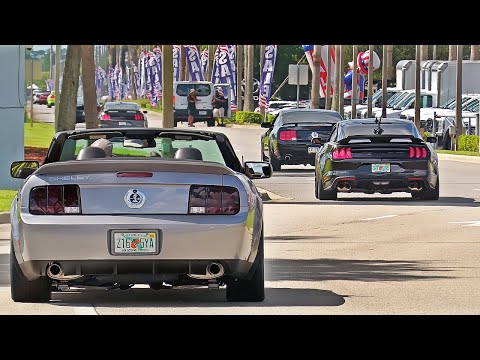 Mustangs At Daytona 2024 Cruise To VMP Performance!