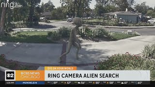 Ring Camera alien search underway