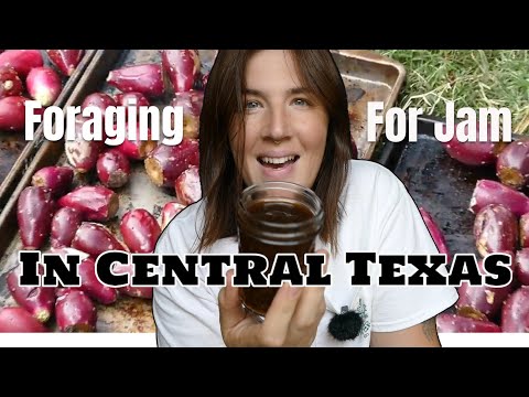 Foraging for Jam in Central Texas!