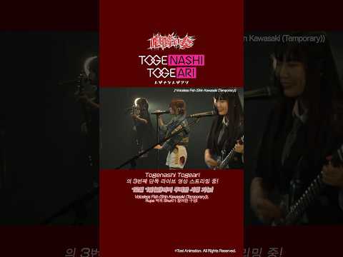 TOGENASHITOGEARI 3rd 원맨 라이브스트리밍 영상 미리보기 ③ 티켓 판매 중!