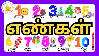 எண்கள்🔢✨- Learn Numbers with Objects & Fun Questions | Educational Video for Kids - Tamilarasi