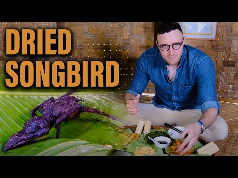 Feasting on Songbirds: Experiencing Jungle Food with the Katu Tribe!