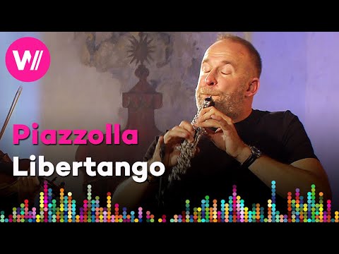 Libertango by Astor Piazzolla | Vilém Veverka