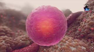 EXOSOME animation